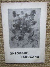 Gheorghe Răducanu, catalog, Expoziția de pictură, București feb.-mar. 1969
