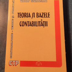 Teoria si bazele contabilitatii Victor Munteanu