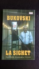 BUCOVSKI LA SIGHET - ROMULUS RUSAN foto