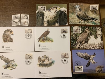 pasari - soim - serie 4 timbre MNH, 4 FDC, 4 maxime, fauna wwf foto