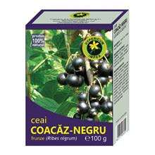 Ceai Coacaz Negru Frunze 100gr Hypericum Cod: HYPE.00384 foto