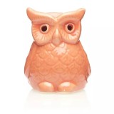 Cumpara ieftin Vas aromaterapie Ceramica - Bufnita AR11