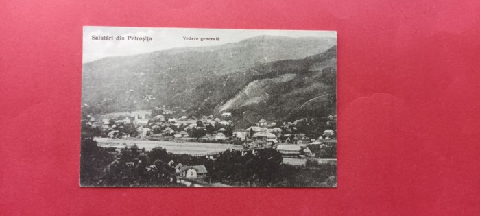 Dambovita Pietrosita / Petrosita Vedere generala