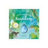 Small Sparkling Raindrop (Start Small, Think Big #5)