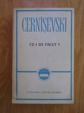 CERN&Icirc;ȘEVSKI (CERN&Acirc;ȘEVSKI) - CE-I DE FĂCUT?