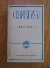 CERN&amp;Icirc;ȘEVSKI (CERN&amp;Acirc;ȘEVSKI) - CE-I DE FĂCUT? foto