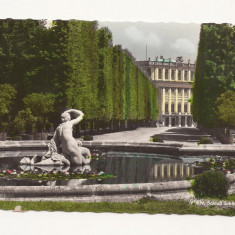 AT1 -Carte Postala-AUSTRIA- Viena, Schloss Schonbrunn , necirculata