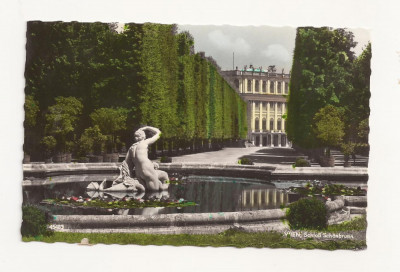 AT1 -Carte Postala-AUSTRIA- Viena, Schloss Schonbrunn , necirculata foto