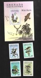 grenada pasari mnh