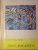 Ușile Pocăinței - Protos. Petroniu Tănase, Ed. Trinitas 1994, Carte Creștinism, 126 pagini