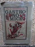 Gastronomice-Al.O.Teodoreanu