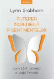 Puterea incredibilă a sentimentelor - Paperback brosat - Lynn Grabhorn - Litera