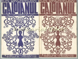 Caloianul I, II - Ion Lancranjan