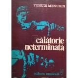 Yehudi Menuhin - Calatorie neterminata (editia 1980)