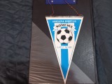 Fanion A S Somesul Satu Mare