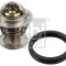 FEBI BILSTEIN 173096 termostat lichid racire