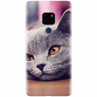 Husa silicon pentru Huawei Mate 20, British Shorthair Cat Yellow Eyes Portrait foto