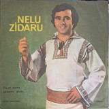 Disc vinil, LP. De-ar Putea Padurea Spune-NELU ZIDARU, Rock and Roll
