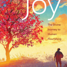 An Invitation to Joy: The Divine Journey to Human Flourishing