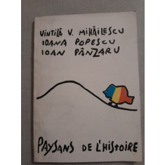 Paysans de l&#039;histoire - Vintila V. Mihailescu, Ioana Popescu, Ioan Panzaru