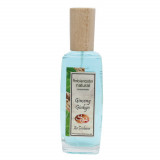 Spray camera SyS Aromas - Ginseng si Ginkgo 100 ml, Laboratorio SyS