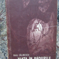 RAUL CALINESCU - VIATA IN PADURILE ECUATORIALE