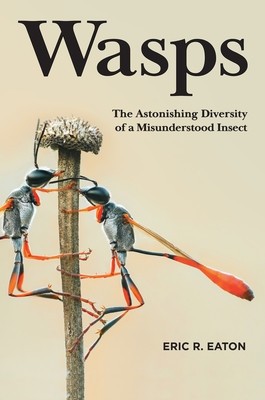 Wasps: The Astonishing Diversity of a Misunderstood Insect foto