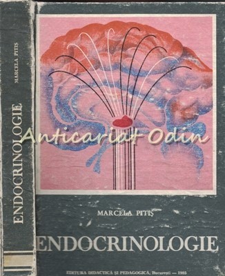 Endocrinologie - Marcela Pitis