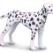 Figurina dalmatian - collecta