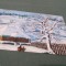 CARTE POSTALA FELICITARE CIRCULATA