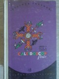CALEIDOSCOP FIZIC-LUKACS E., PETER A., TARJAN R.-357449