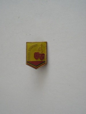 QW9 J 79 - Insigna - tematica pionieri - Pionier interpret locul I foto