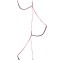 Scarita 5 trepte Alpine Aider 16 mm latime