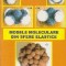 Modele Moleculare din Sfere Elastice