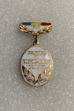Insigna fruntaș egospodarirea comunei 1988