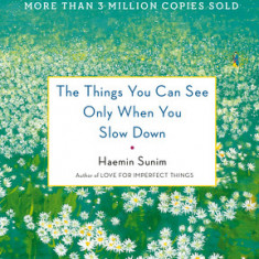 The Things You Can See Only When You Slow Down: How to Be Calm and Mindful in a Fast-Paced World