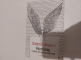 Romania o iubire din care se poate muri Liiceanu