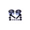 Set rulment roata VW PASSAT Variant 3B5 FAG 713 8007 10
