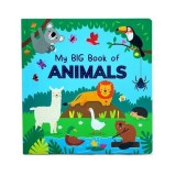 Look and Learn First Words