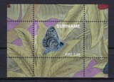 SURINAM 2020 FAUNA INSECTE FLUTURI