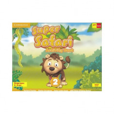 Super Safari 2. Activity Book. Limba Engleză. Grupa mare (5-6 ani) + CD audio - Paperback brosat - Günter Gerngross, Herbert Puchta, Oana Cristina Sto