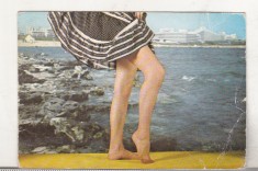 bnk cld Calendar de buzunar 1981 - ADESGO