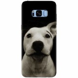 Husa silicon pentru Samsung S8 Plus, Funny Dog