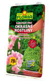 Substrat pentru plante decorative FLORIA 75L, Agro CS