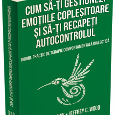 Cum sa-ti gestionezi emotiile coplesitoare si sa-ti recapeti autocontrolul