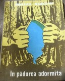 LITR6 Literatura, In padure4a adormita -