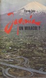Florea Tuiu - Japonia un miracol? Carte Sociologie 1975 Romana 227 pagini 13x20cm Brosata