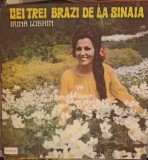 Vinil Irina Loghin - Cei Trei Brazi de la Sinaia (Electrecord, 1984) LP Muzica Populara 33 RPM