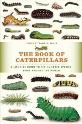 The Book of Caterpillars: A Life-Size Guide to Six Hundred Species from Around the World foto