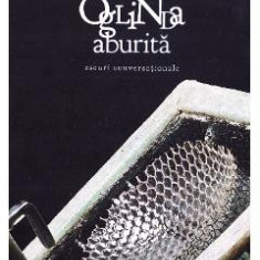 Oglinda aburita - Ion Muresan